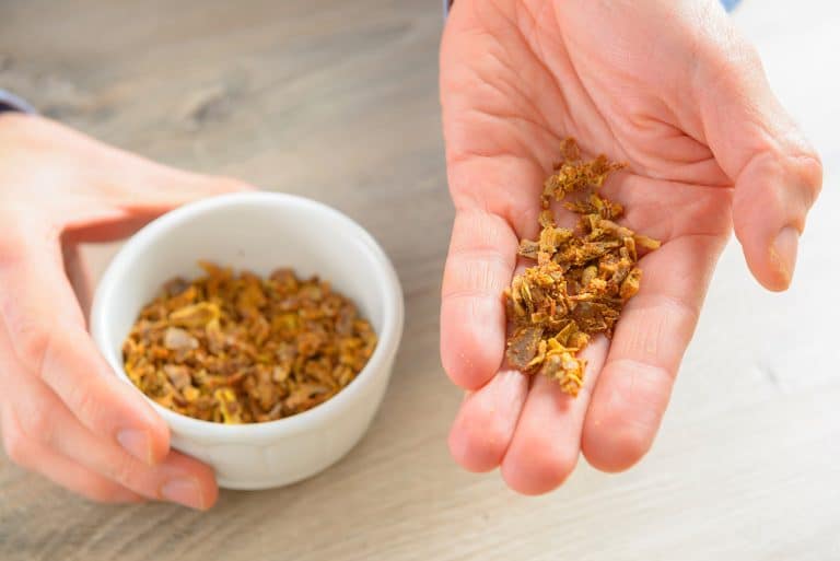 La propolis : origine, propriétés et rôle protecteur dans la ruche
